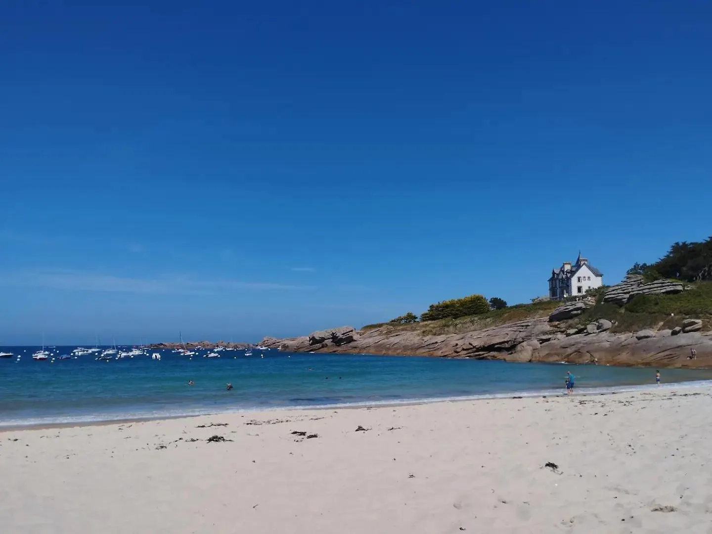 Appartement Au Coeur De La Cote De Granit Rose. Trégastel Lejlighed