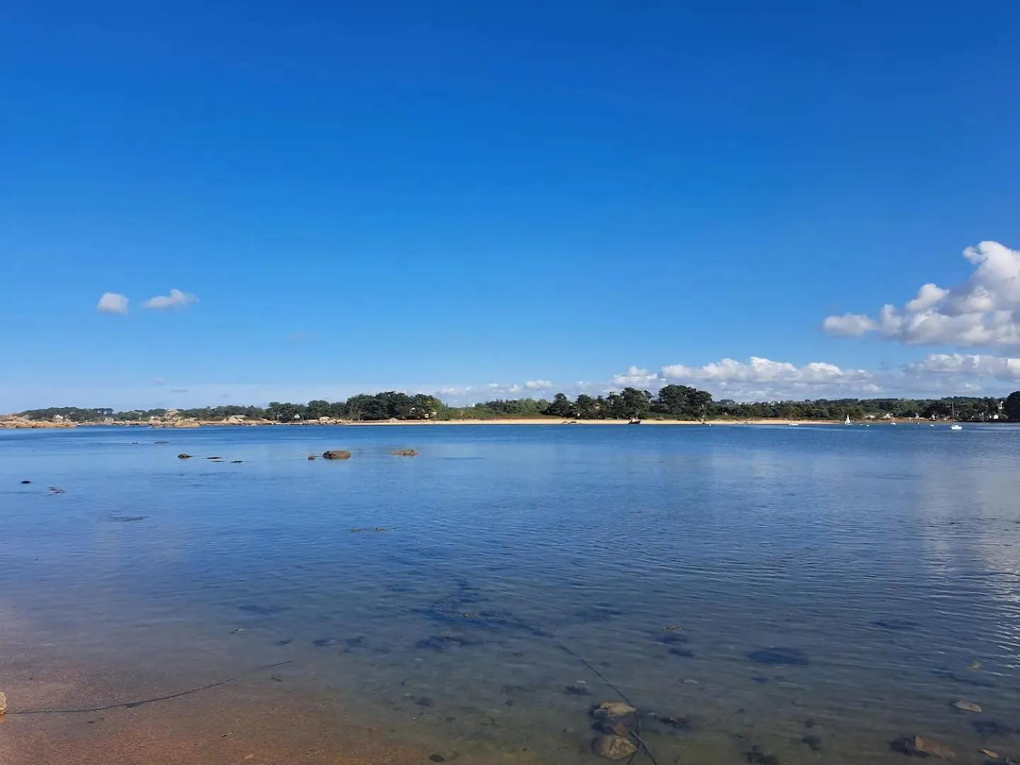 Lejlighed Appartement Au Coeur De La Cote De Granit Rose. Trégastel